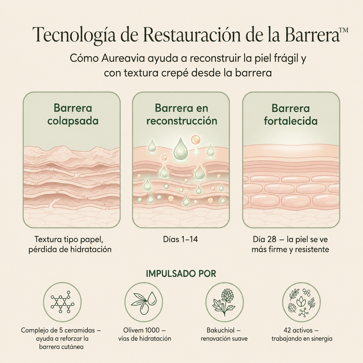 Aureavia Crema Reafirmante Corporal